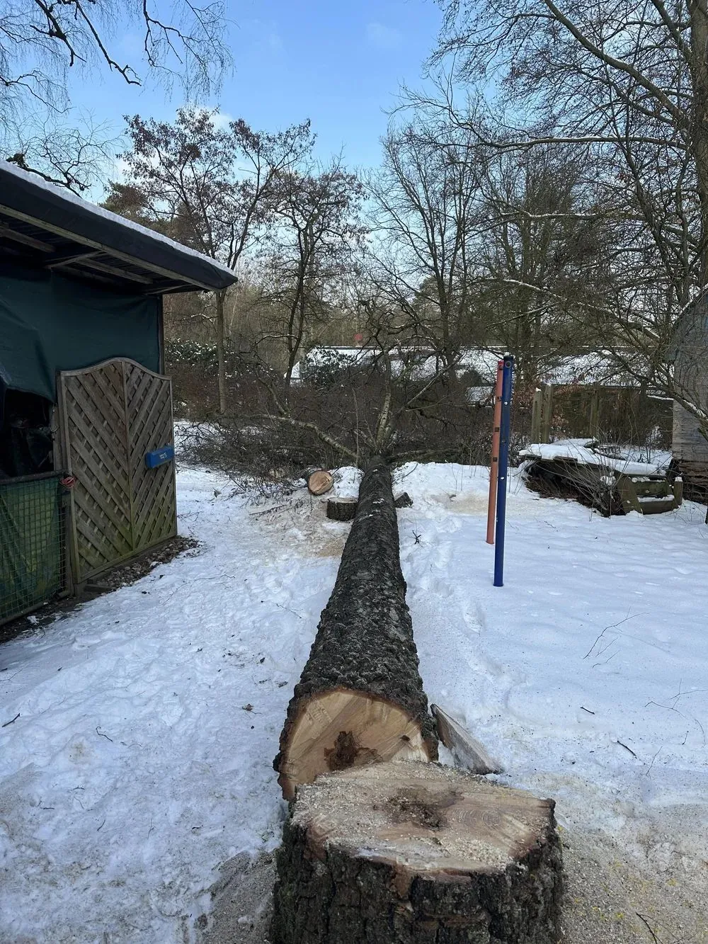 Gefällter Baumstamm liegt im Schnee neben einem Gartenhaus