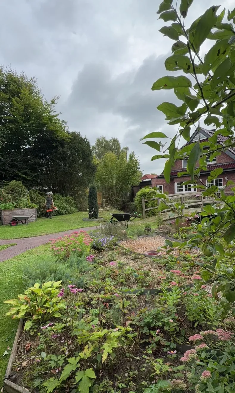 Nachher: derselbe Garten, der hohe Nadelbaum im Hintergrund ist entfernt