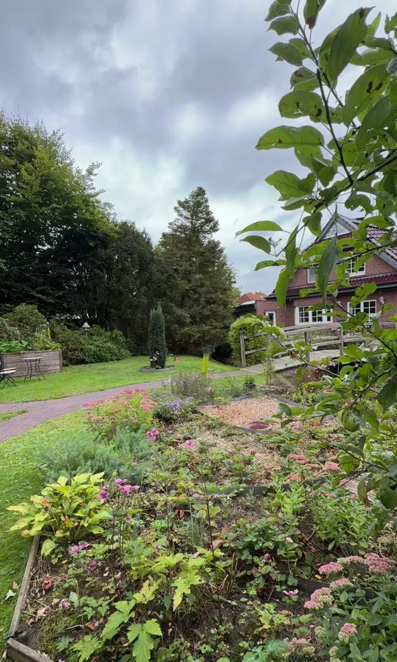 Vorher: Garten mit Beeten und hohem Nadelbaum im Hintergrund