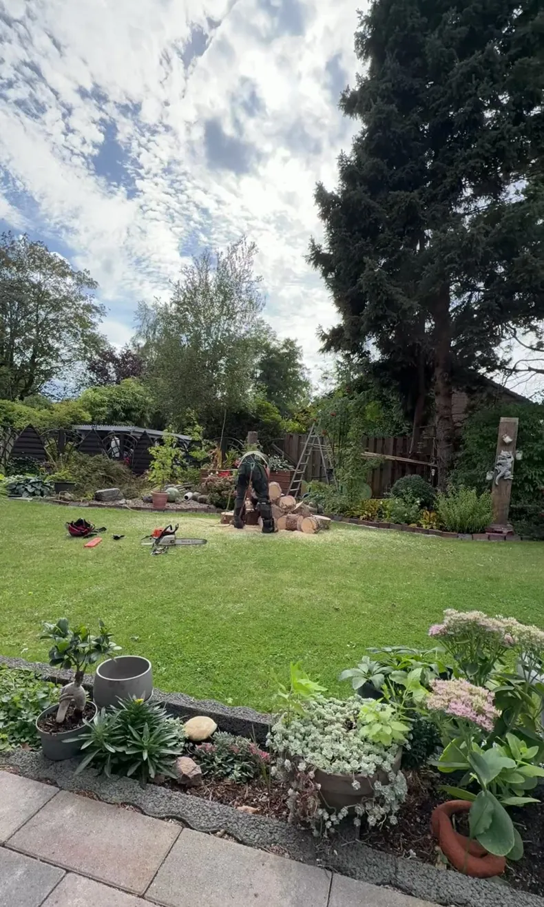 Derselbe Garten nach der Fällung, Stammstücke liegen auf dem Rasen